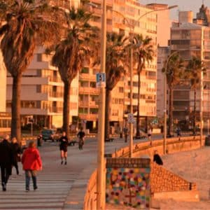 Carrasco Traslada
