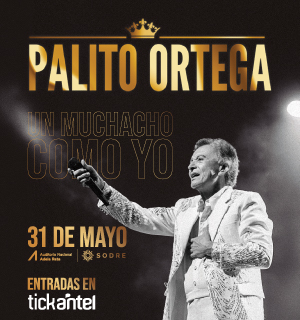 Palito Ortega