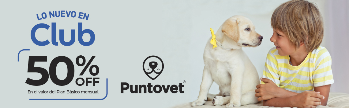 puntovet