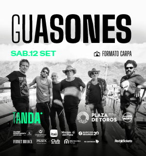 Guasones