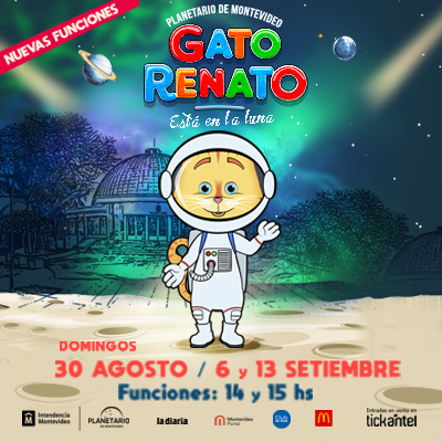 Gato Renato Está En La Luna